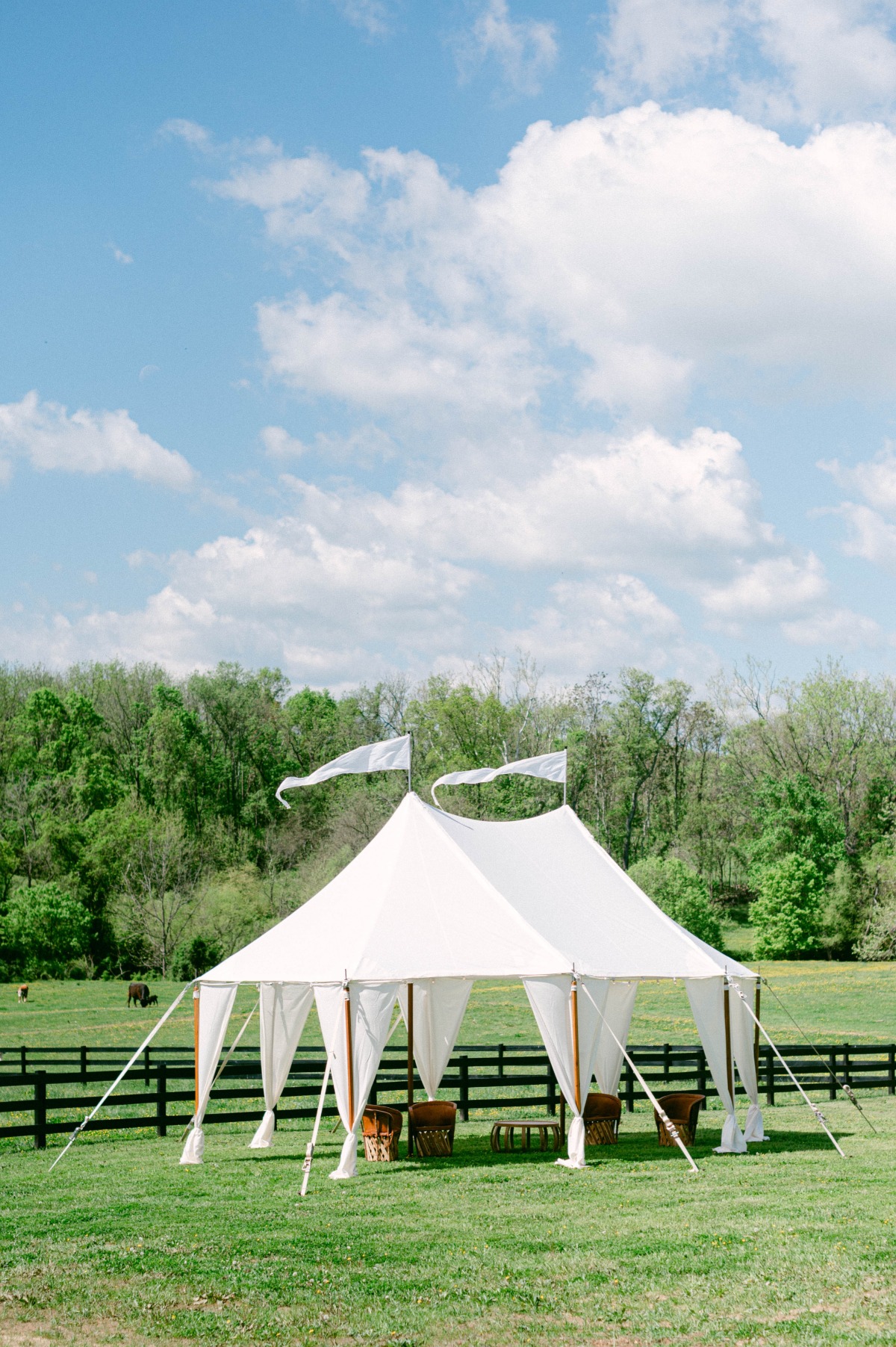 derby-inspired wedding tent
