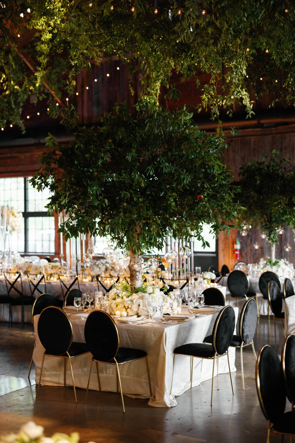 jamie-chris-cedar-lakes-estate-jaymo-james-photography-164
