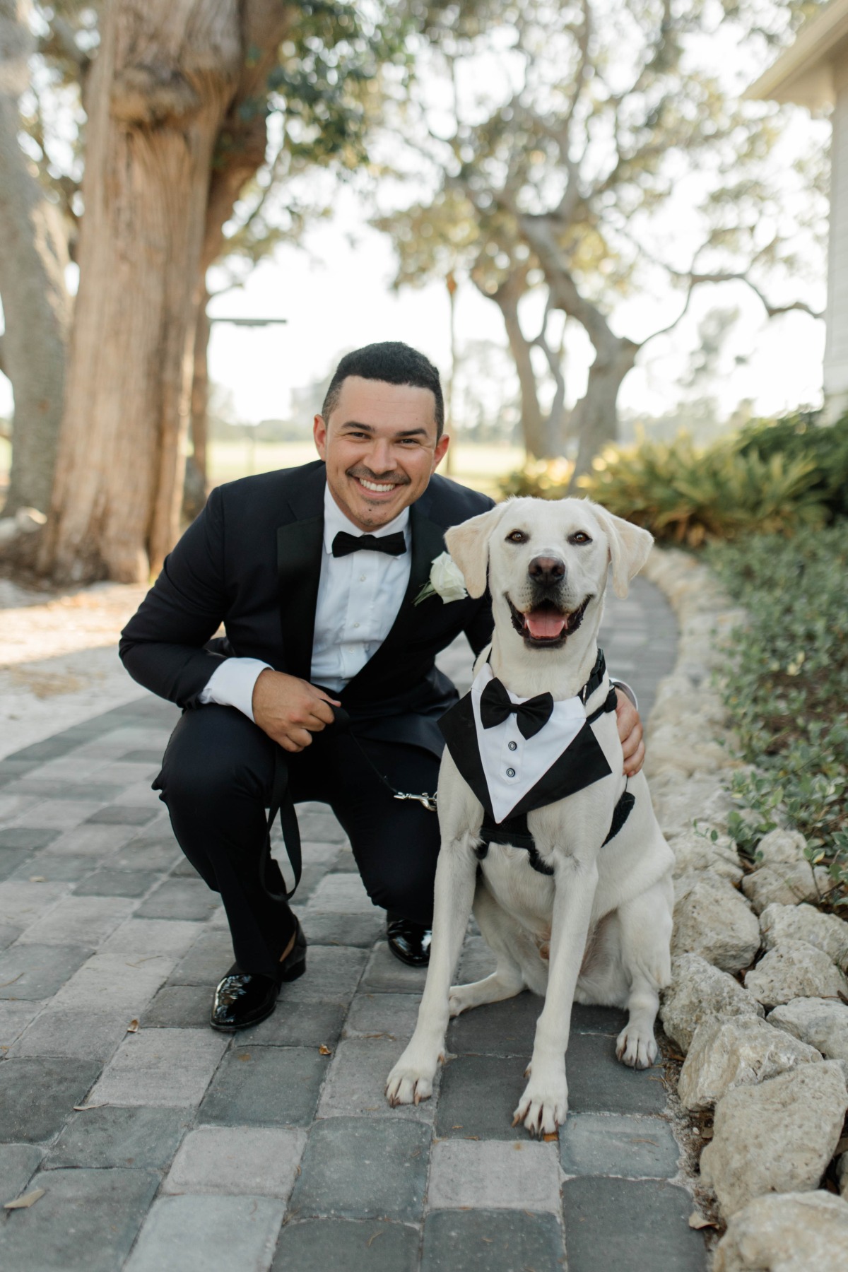 black tie wedding attire for pets