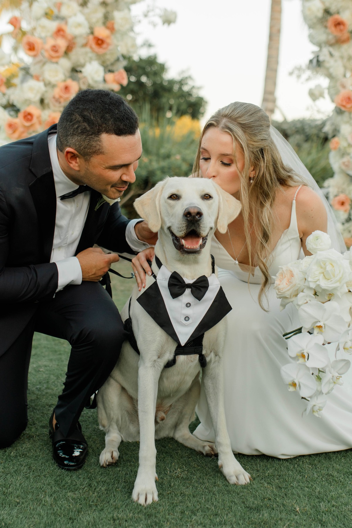 tuxedo for big dogs