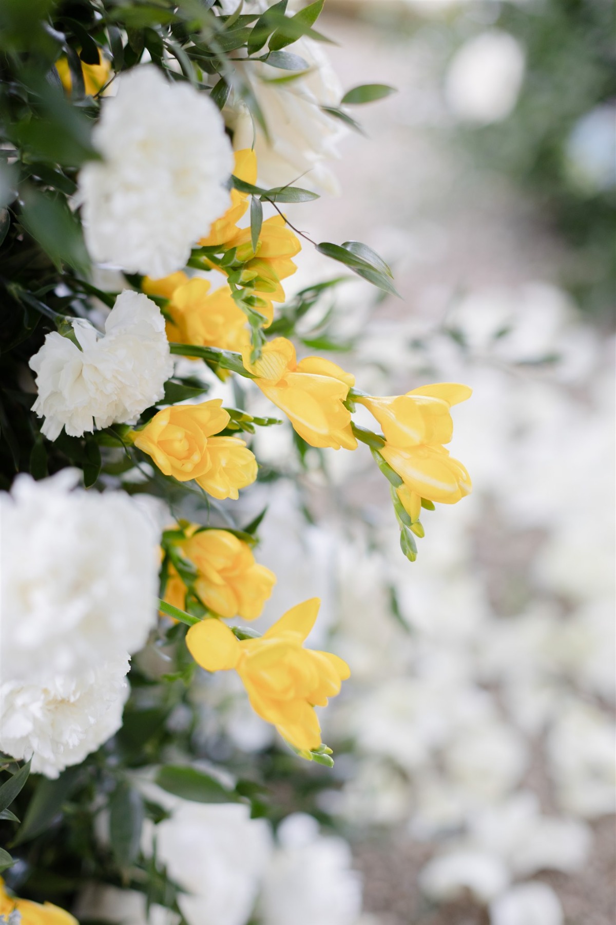 wedding_villa_palmieri123