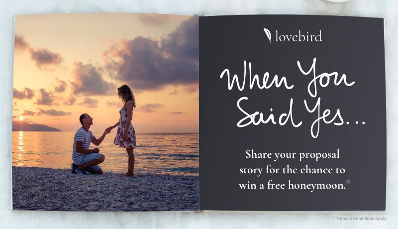 Proposal Story Promo - Lifestyle A - 800x460