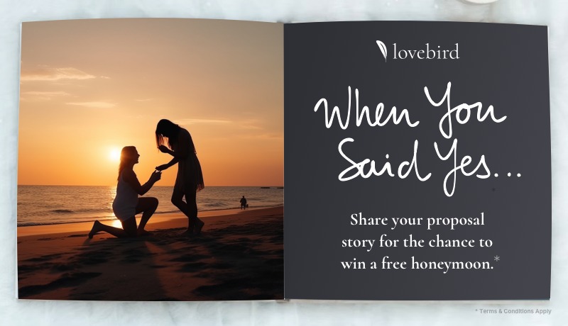 Proposal Story Promo - Lifestyle B - 800x460