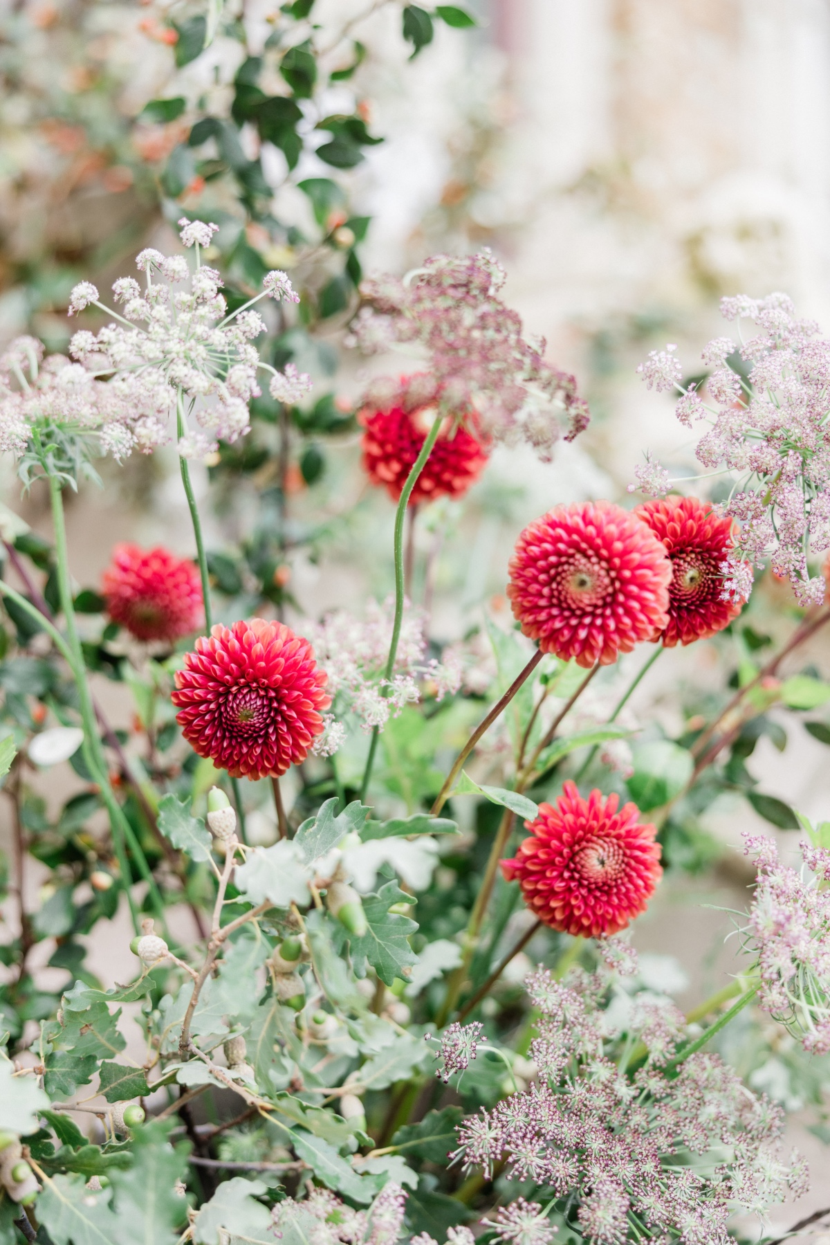 wildflowers-wonderland-147