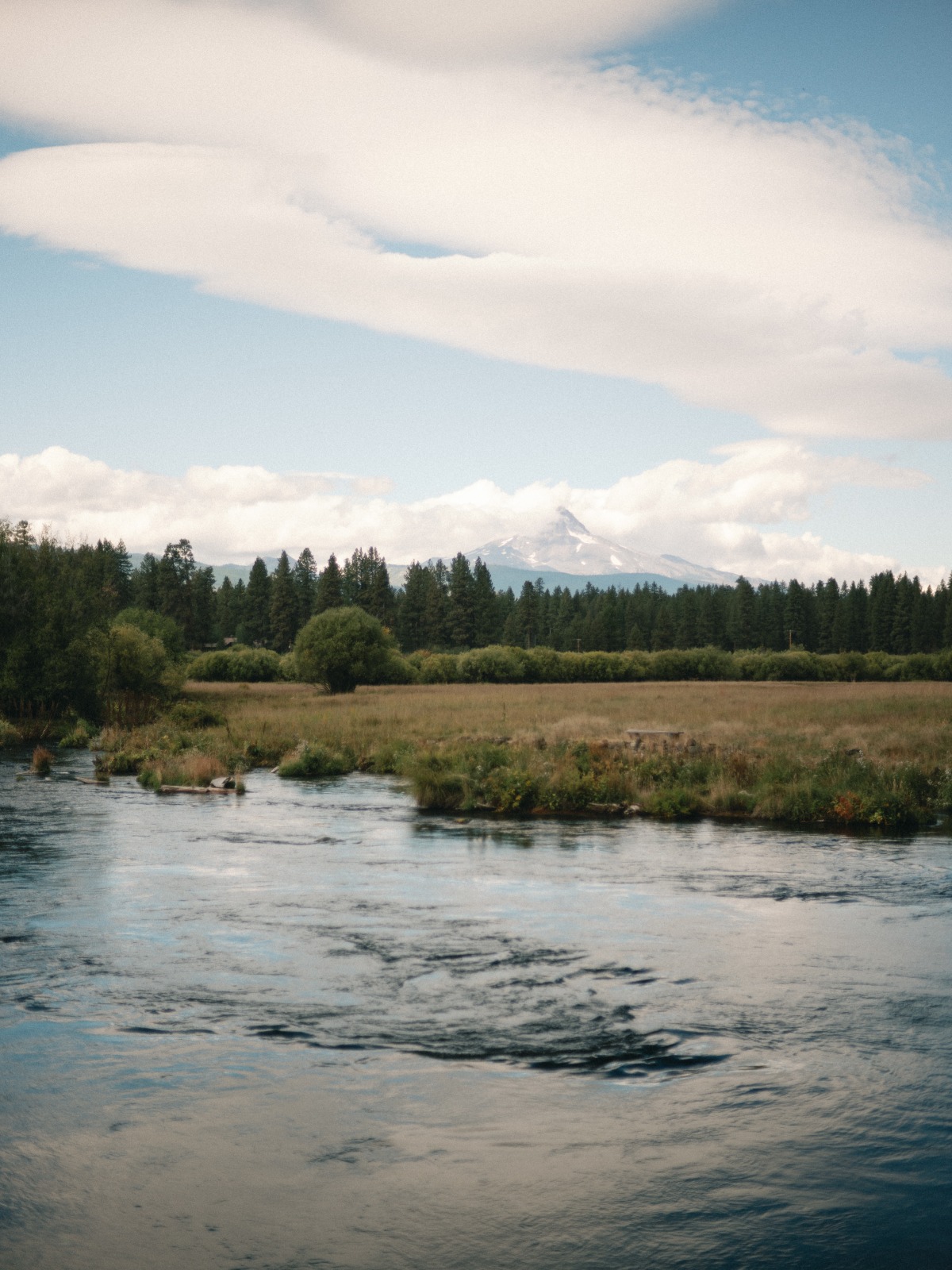 10096971019jpg_exif1