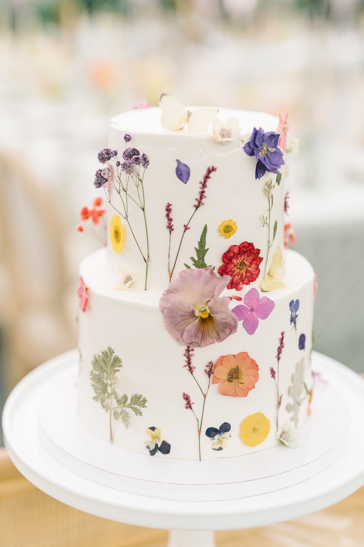 allierobby-gibbesmuseumwedding-621