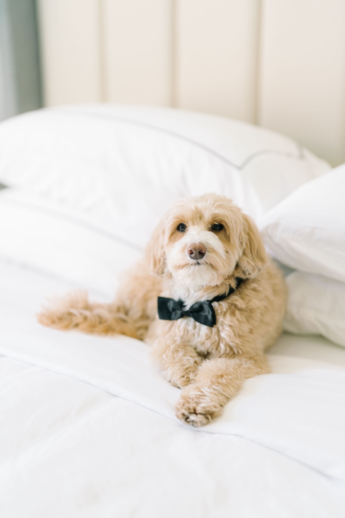 allierobby-gibbesmuseumwedding-71