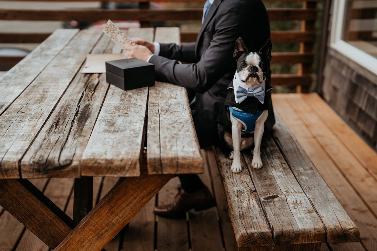 Natalie-Aaron-Elopement-159_@henrysdiary_DOG
