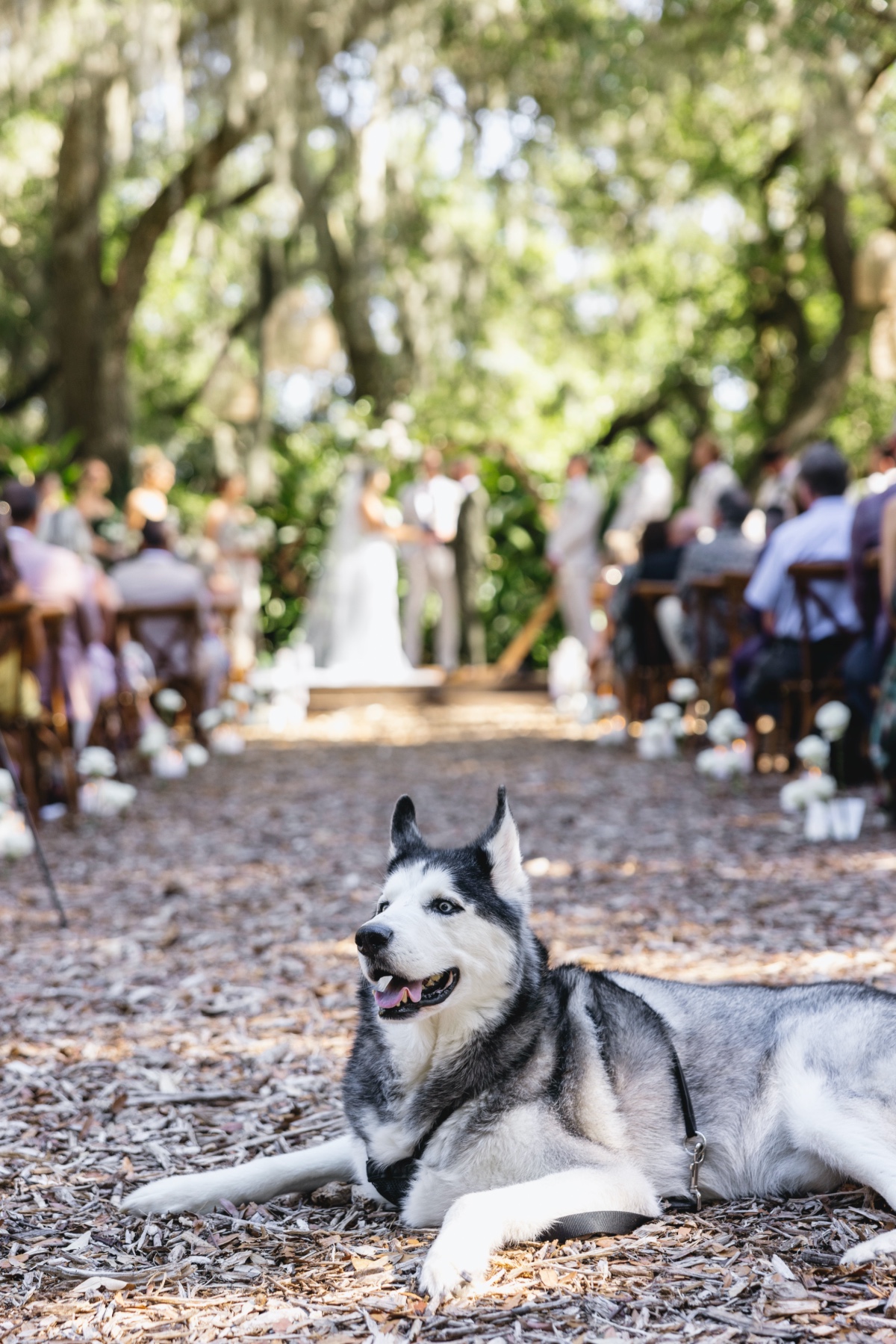 ryan-christian-wed0537