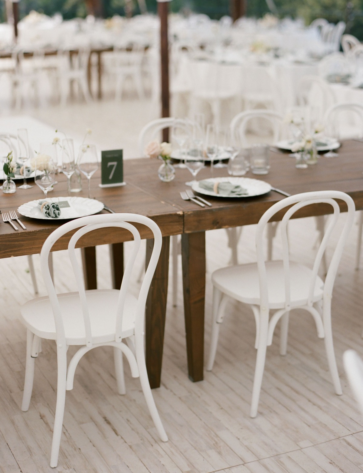 7-bellaandgreg-married-ashbaumgartner-reception-50-1