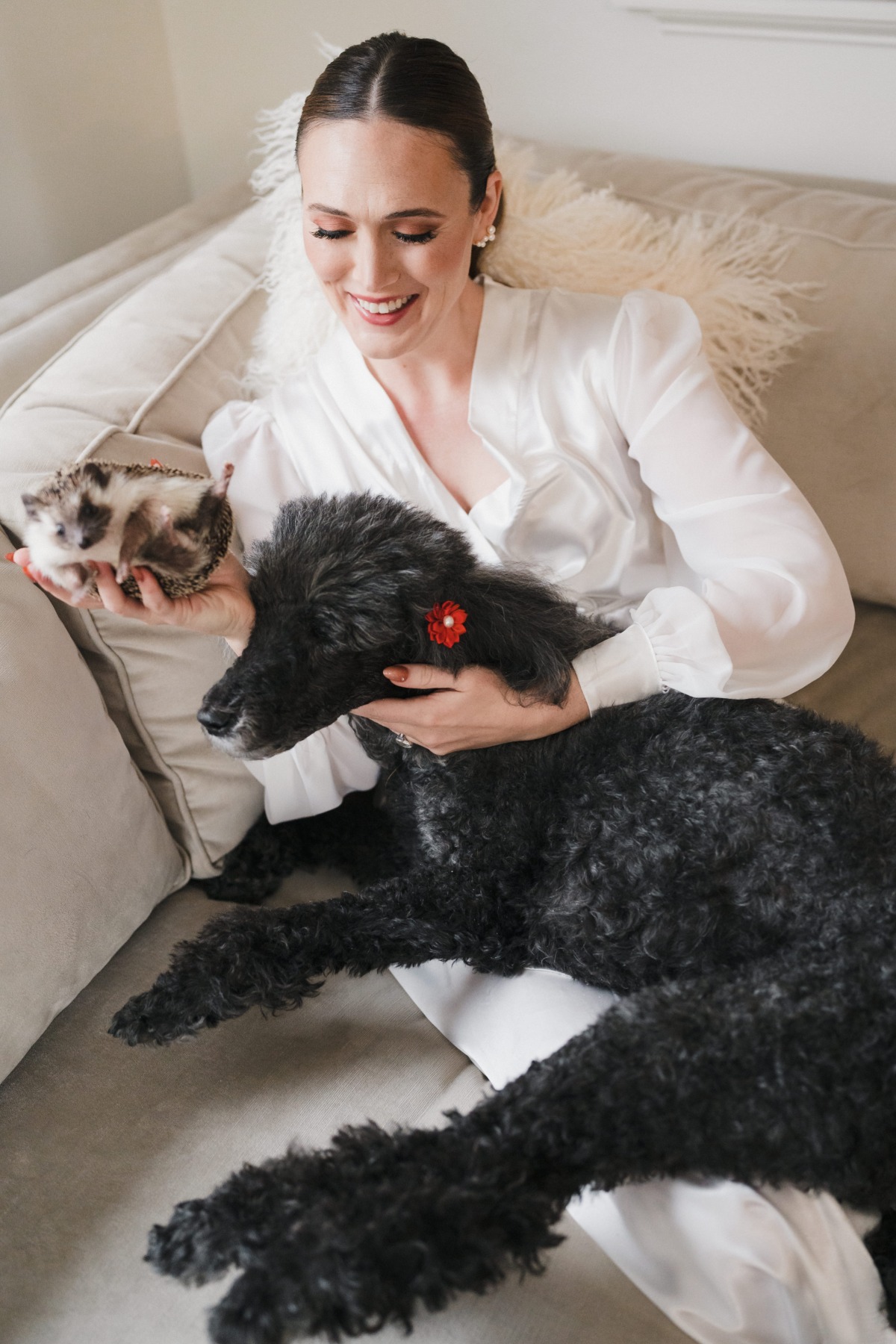 dog and hedgehog at a wedding