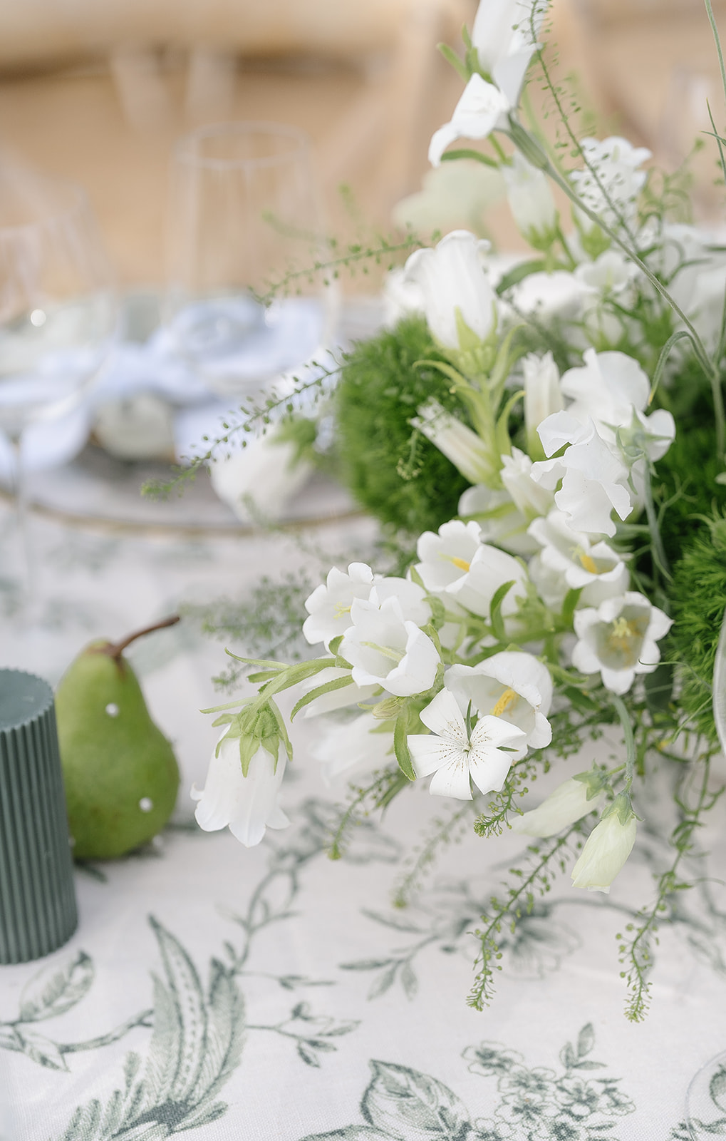 hannahlillianphoto2024-459