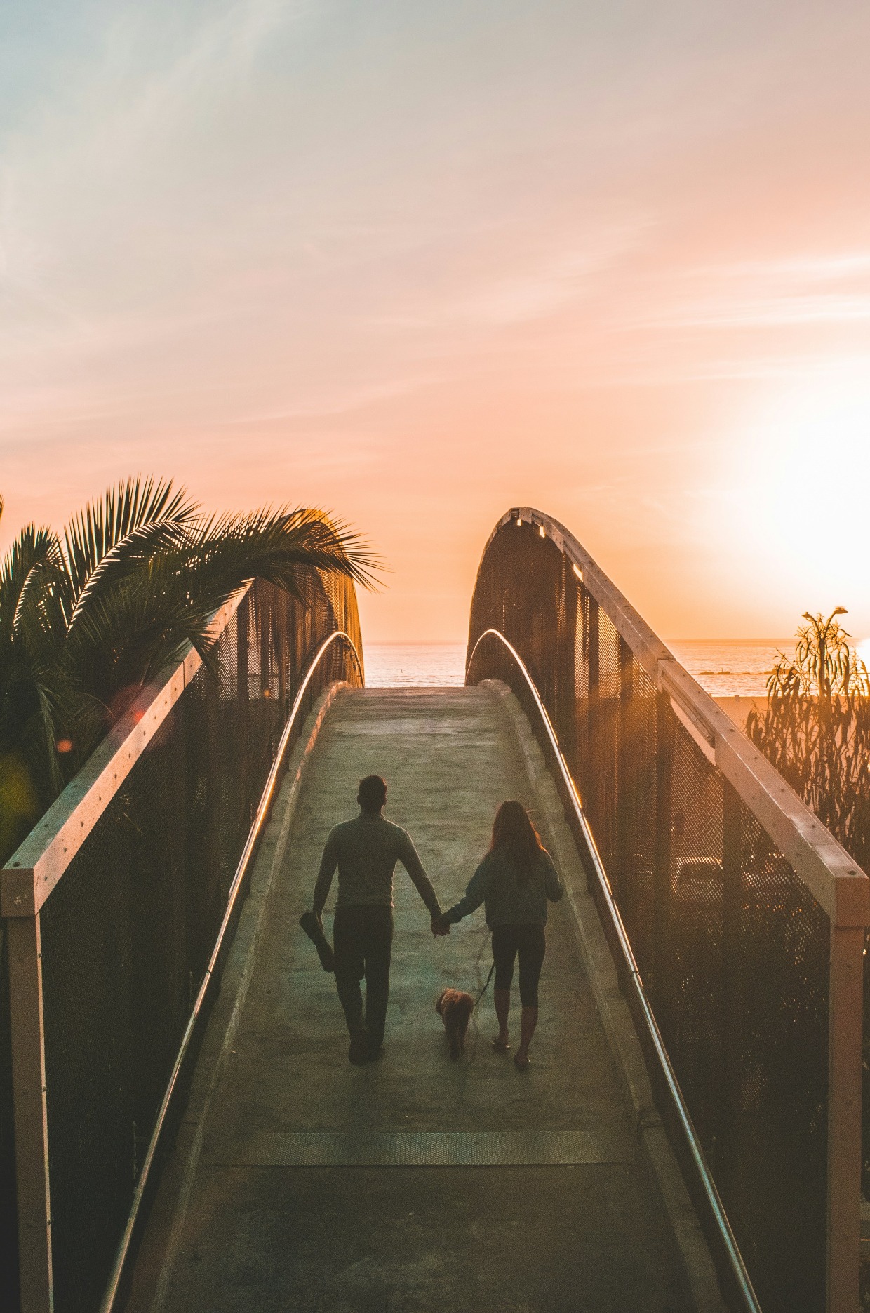 shea-rouda-mRQk1B4OM0k-unsplash