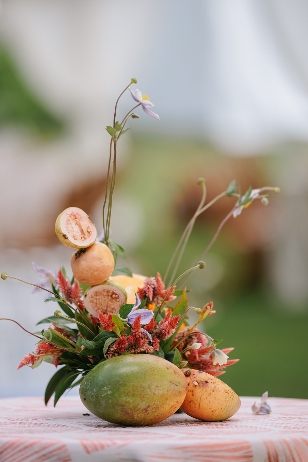 0232_websize