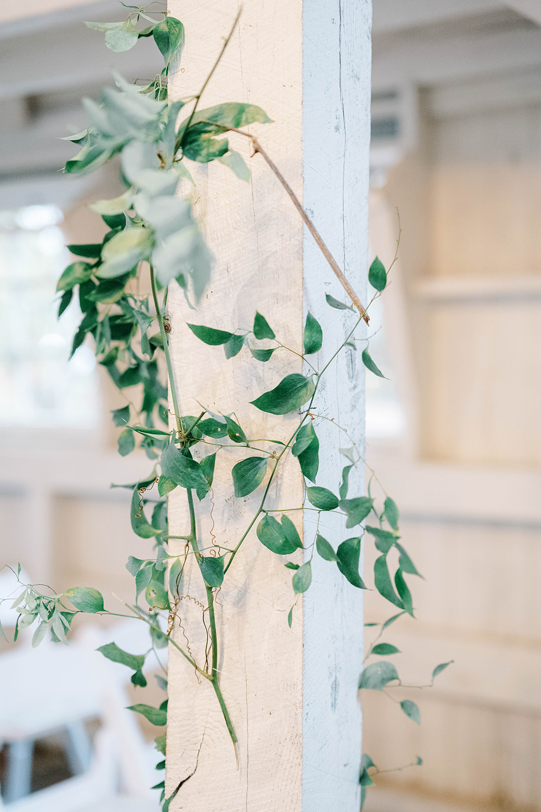 greenery wrapped around pillars