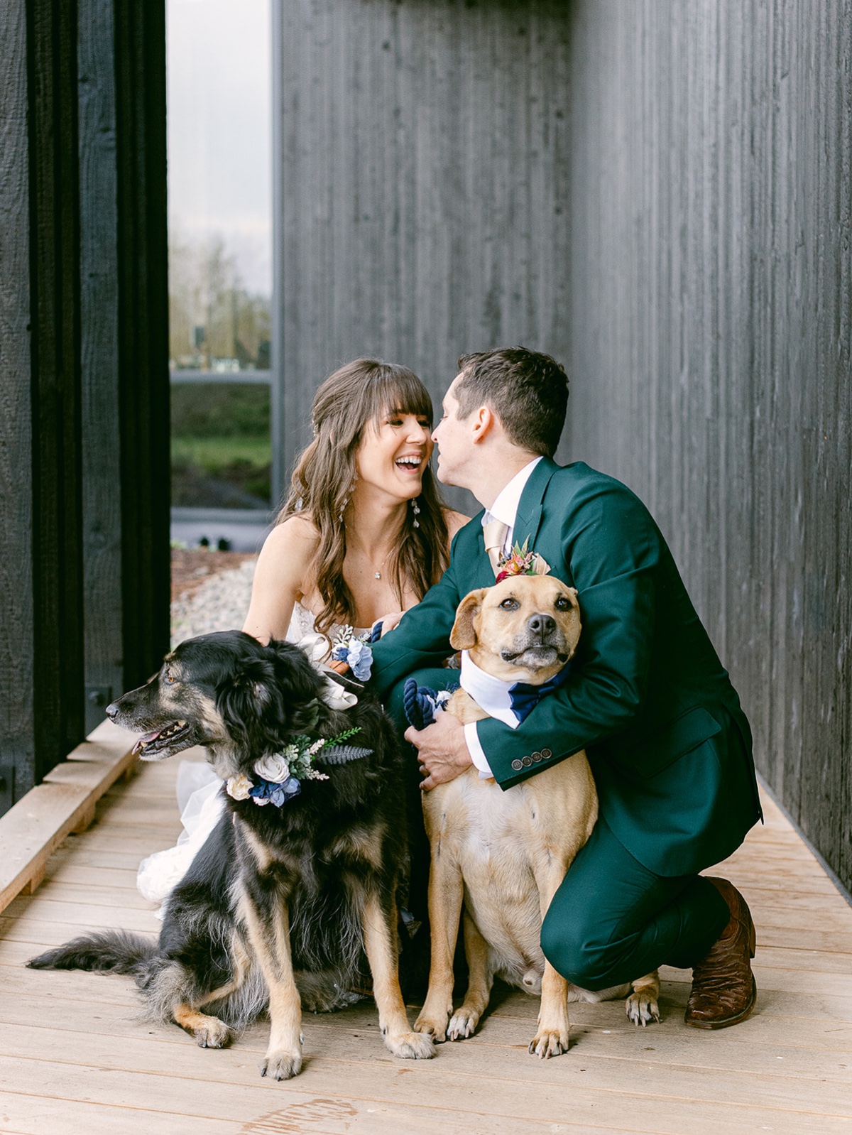 wedding dog collars