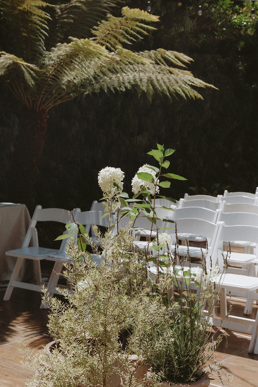 potted plant wedding decor