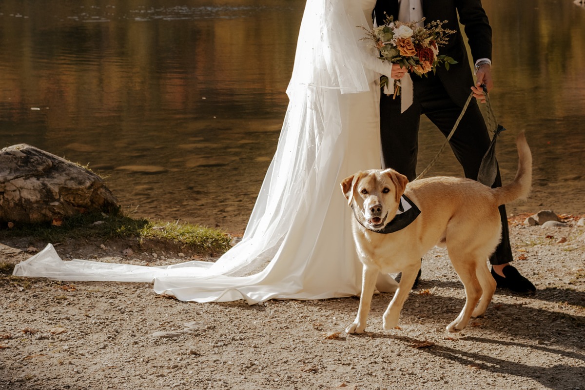 marissa-joe-equinox-resort-manchster-vt-wedding-5054