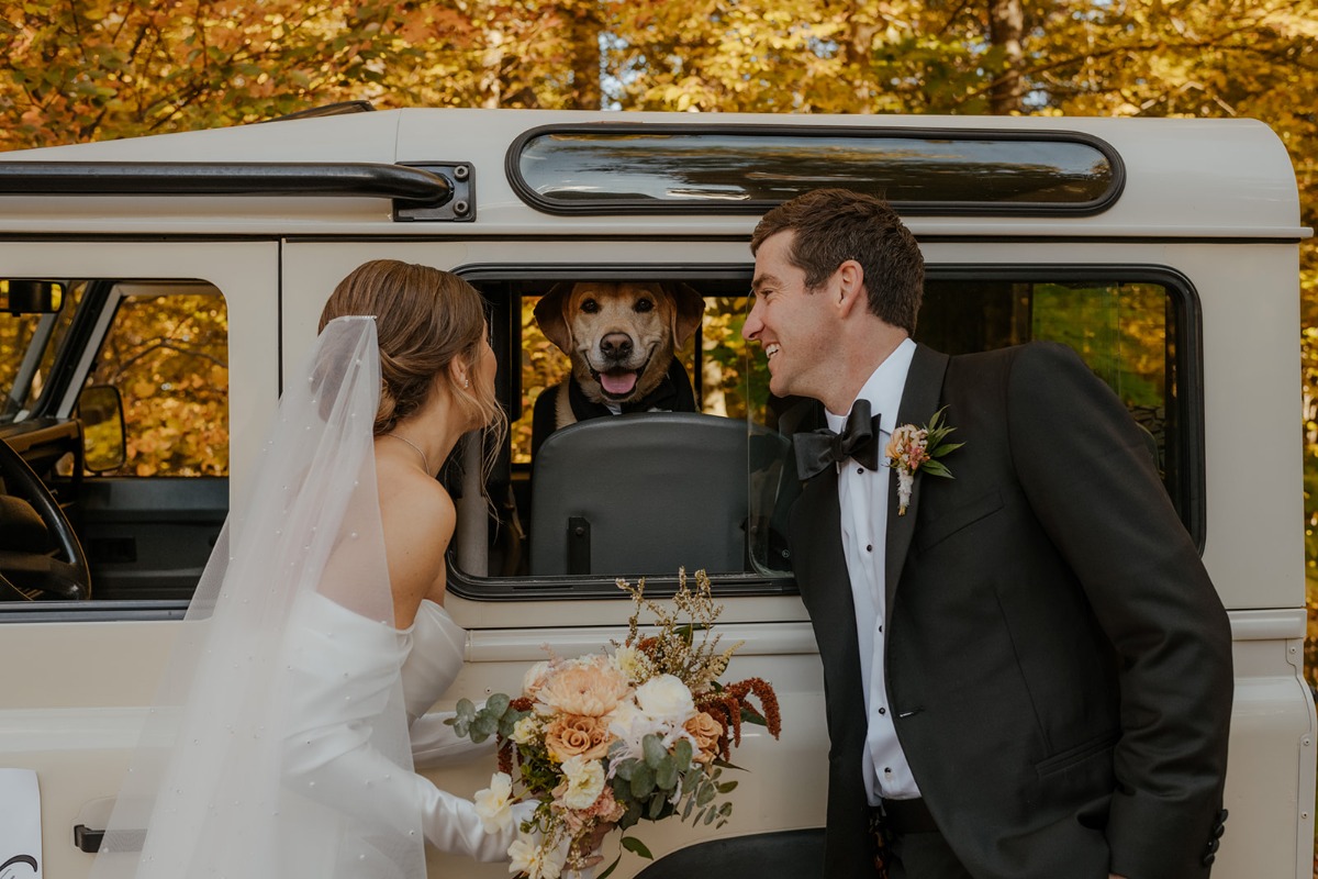 ideas for your dog at your wedding