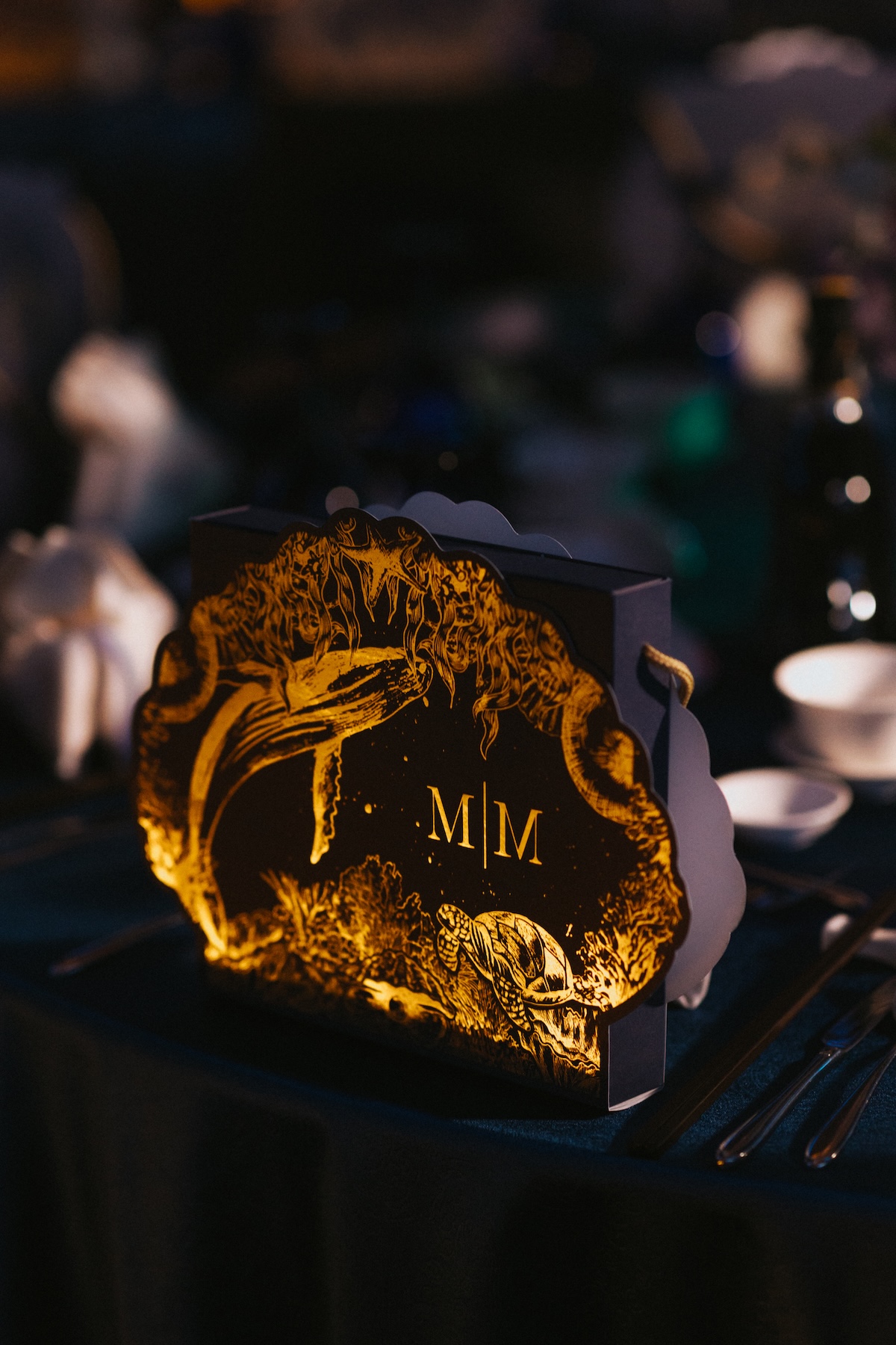 mm_aop_0052