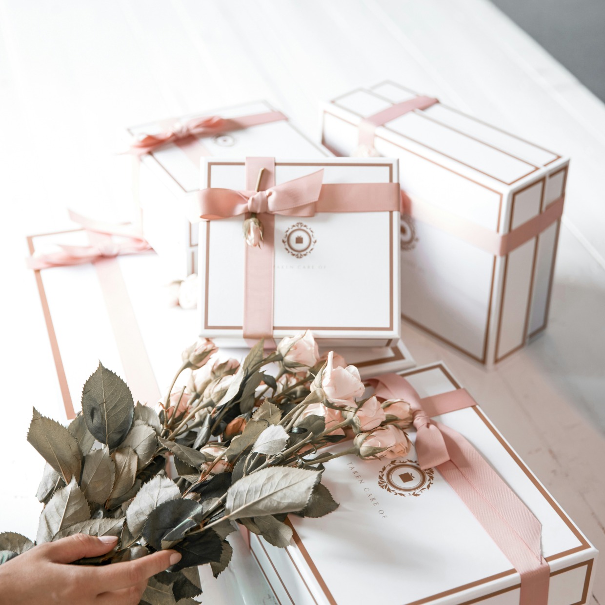 olivia-bollen-ayUGdxRvjV4-unsplash