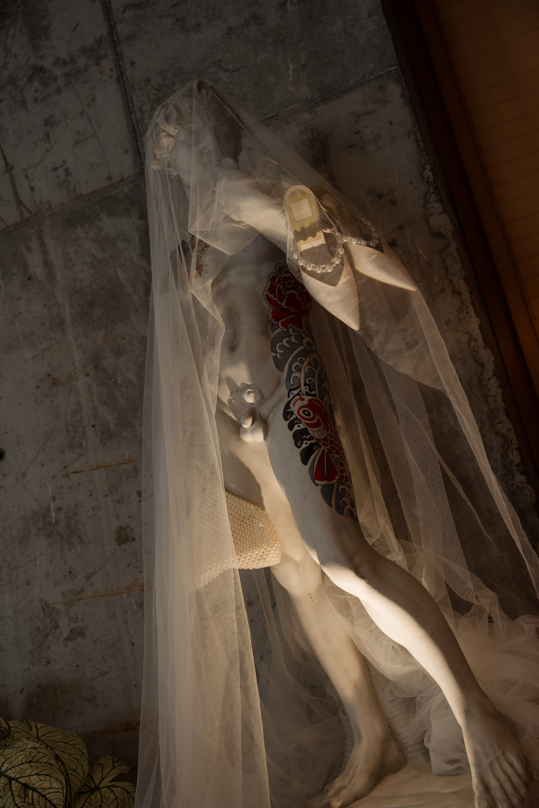 vromance_dsc05915