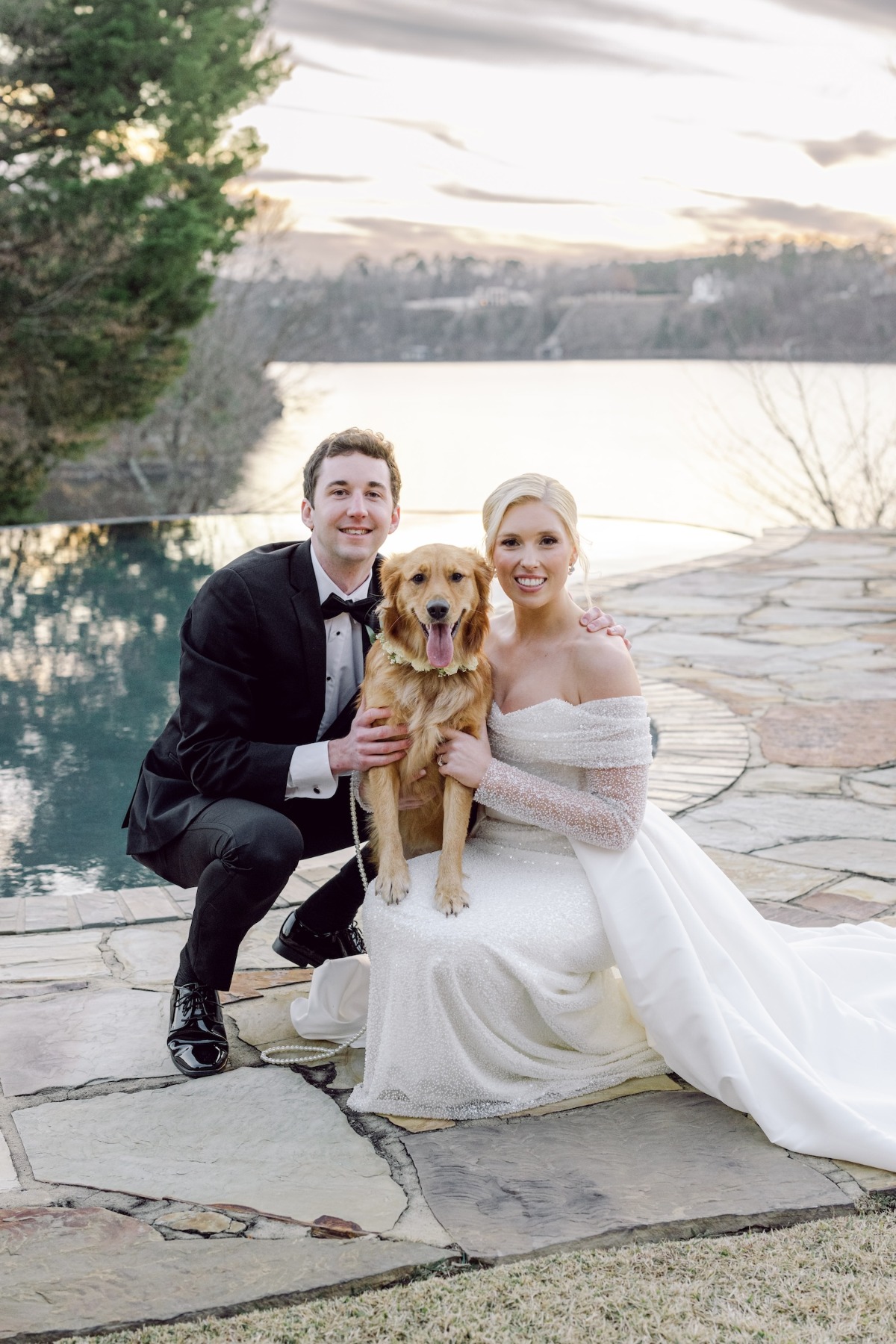 pet wedding portraits