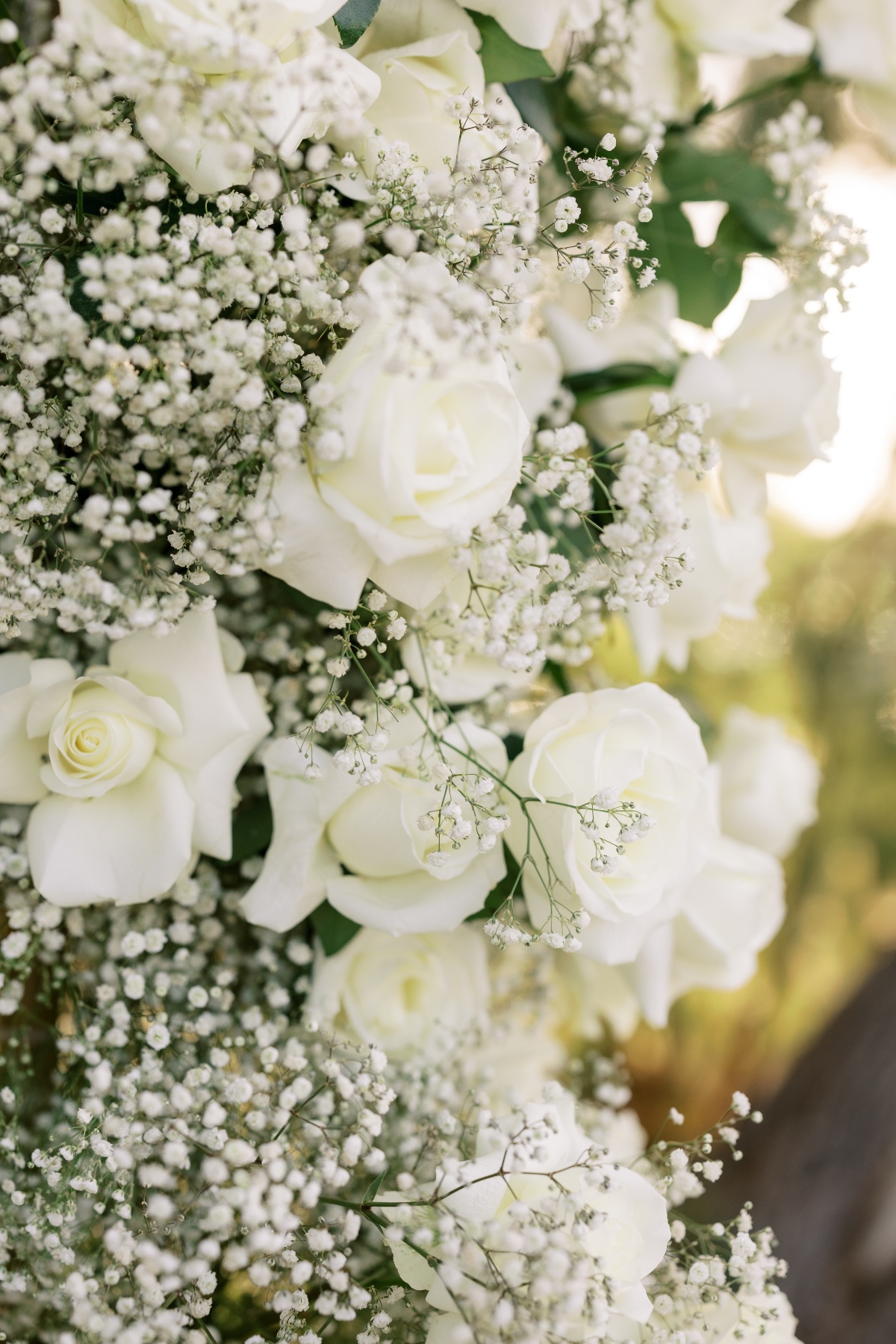 amyadamsphotos0421