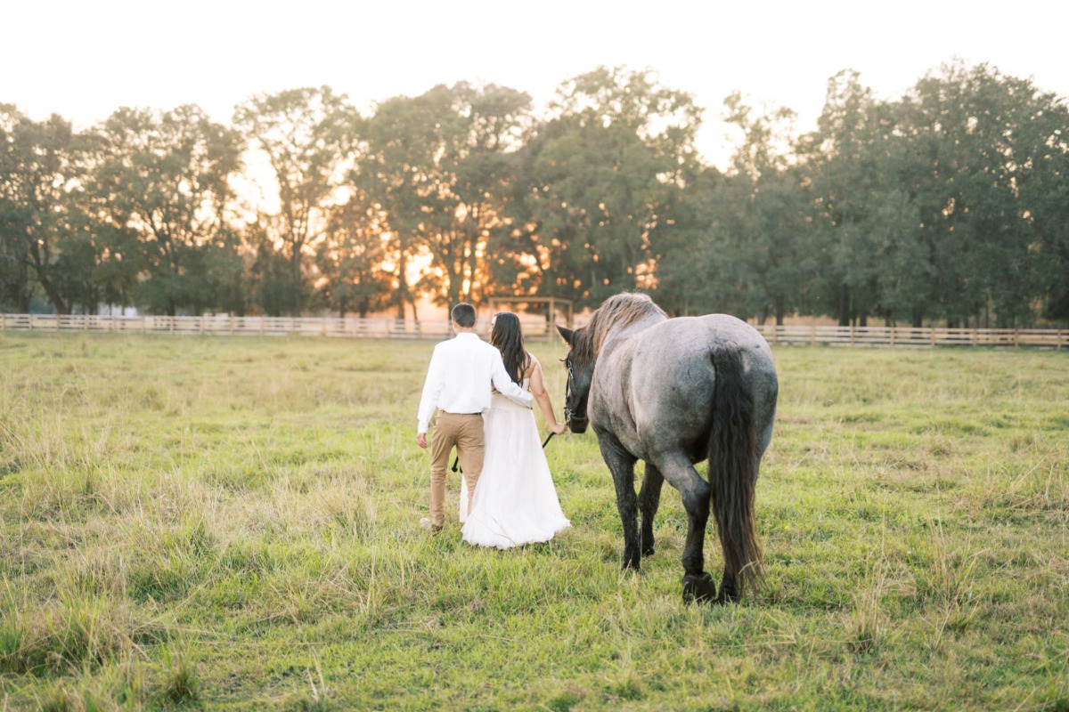engagement photo shoot with a horse