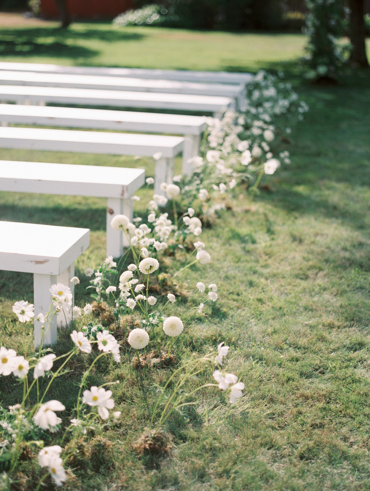 meadow wedding ceremony aisle installation