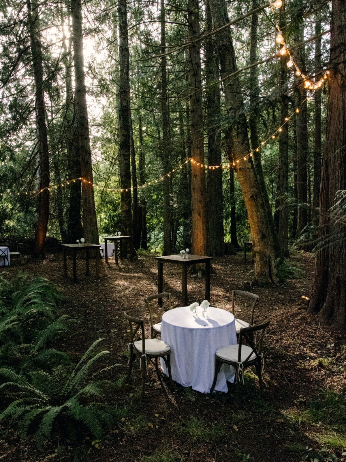 forest wedding with string lights