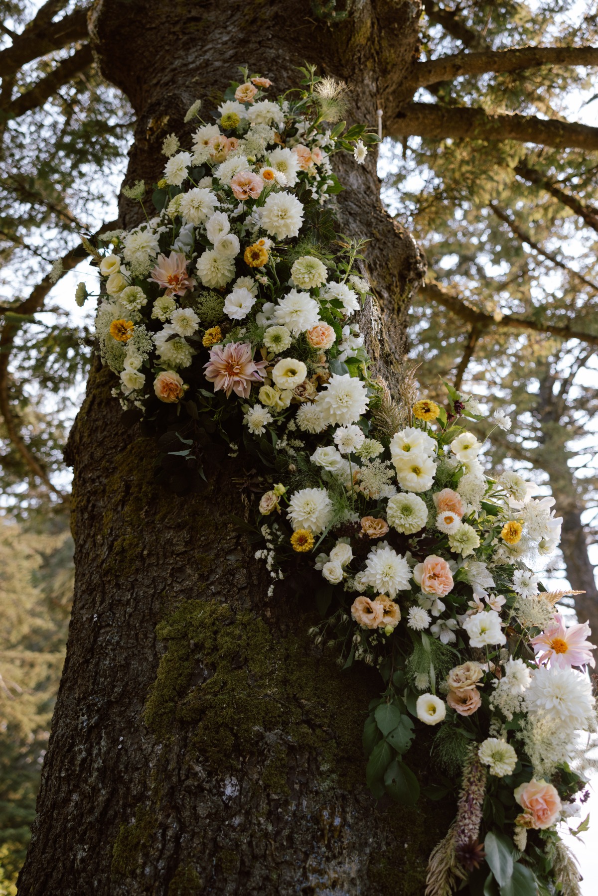 floral installation for wedding climbing tree