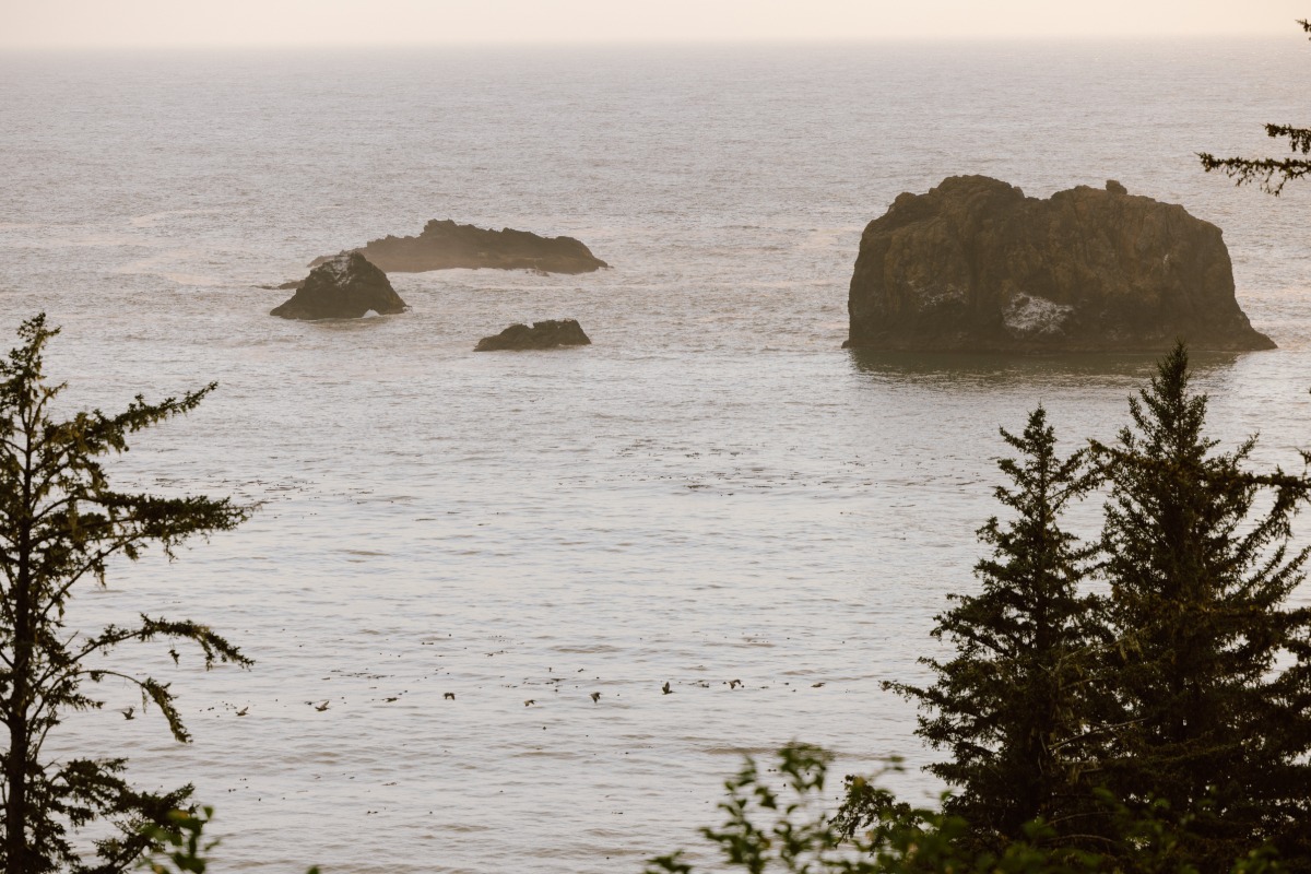 crook-point-wedding-lm-2861-copy