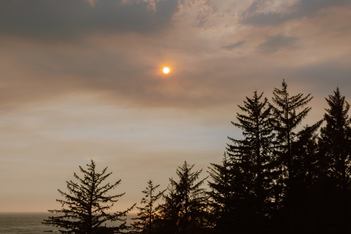 crook-point-wedding-lm-2952-copy