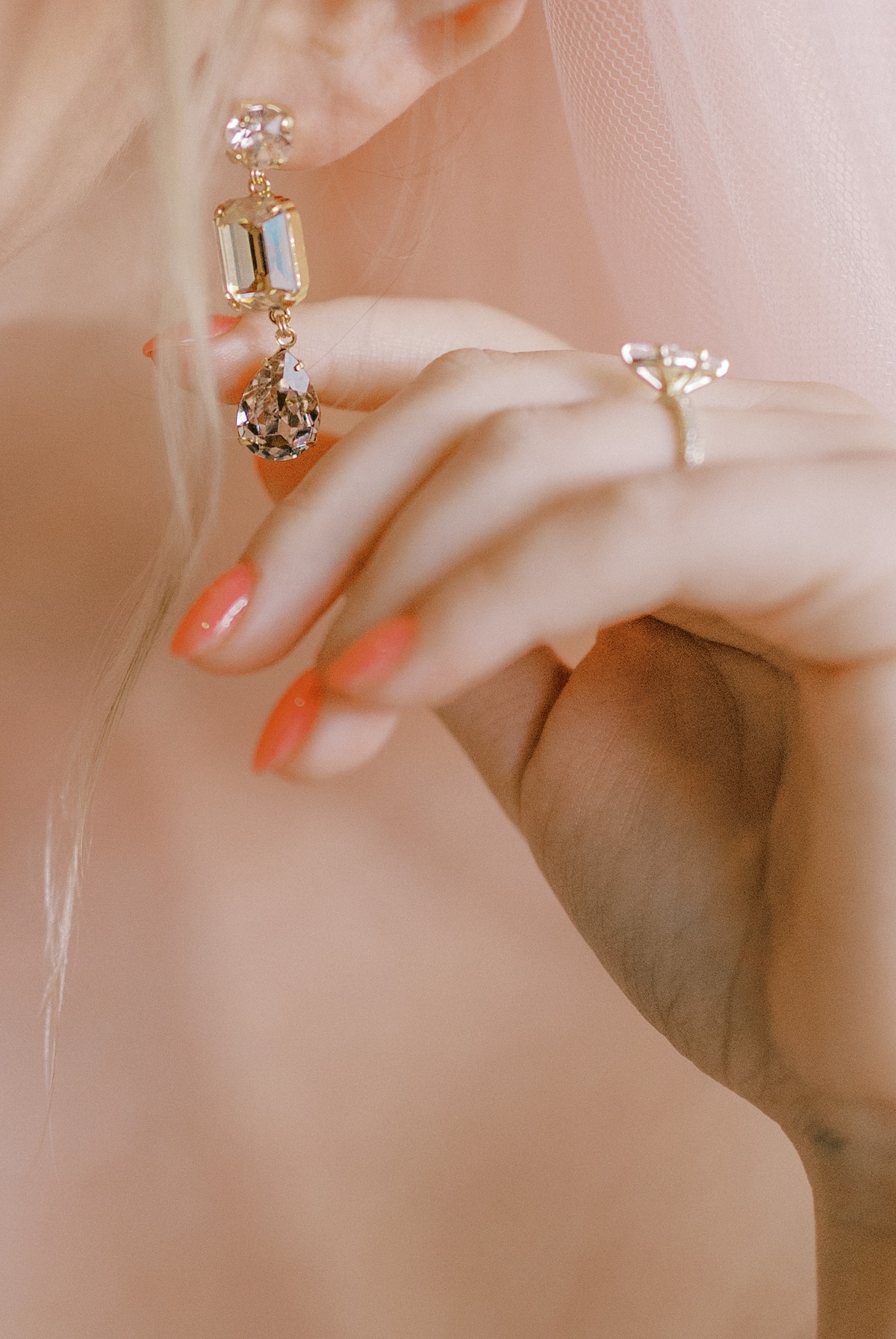 danielle-cargill-photography-rose-toronto-13