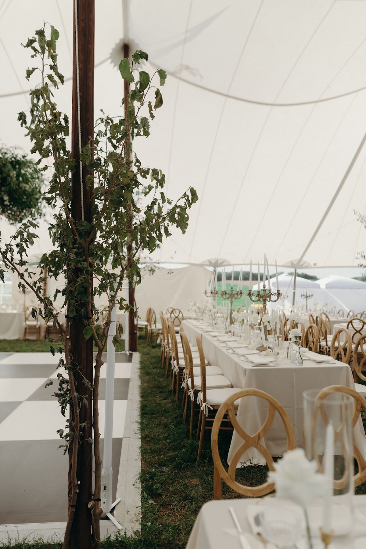 desmoines-backyard-luxury-wedding33