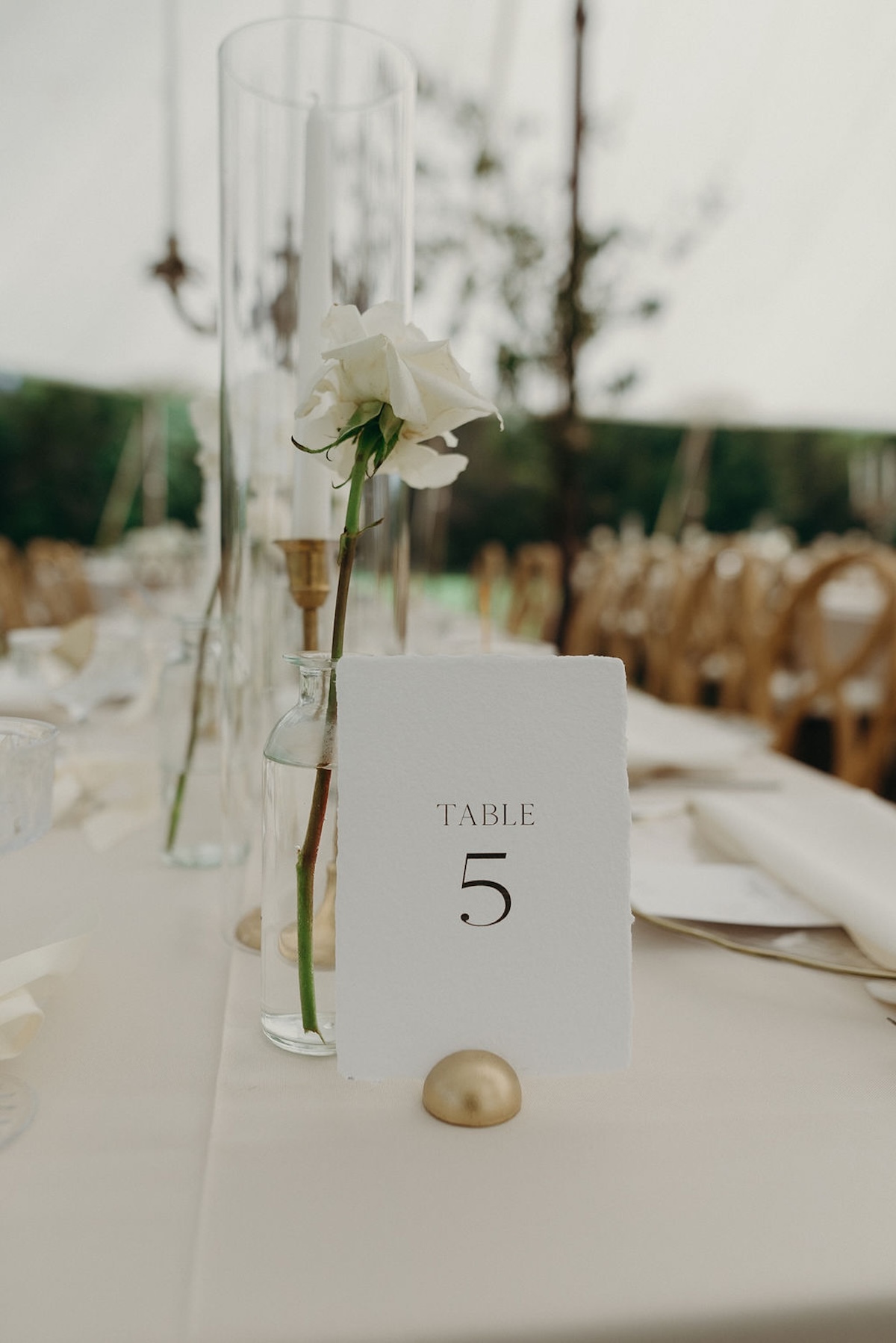 desmoines-backyard-luxury-wedding38