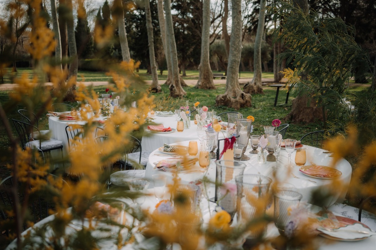 serpent table picnic for welcome party