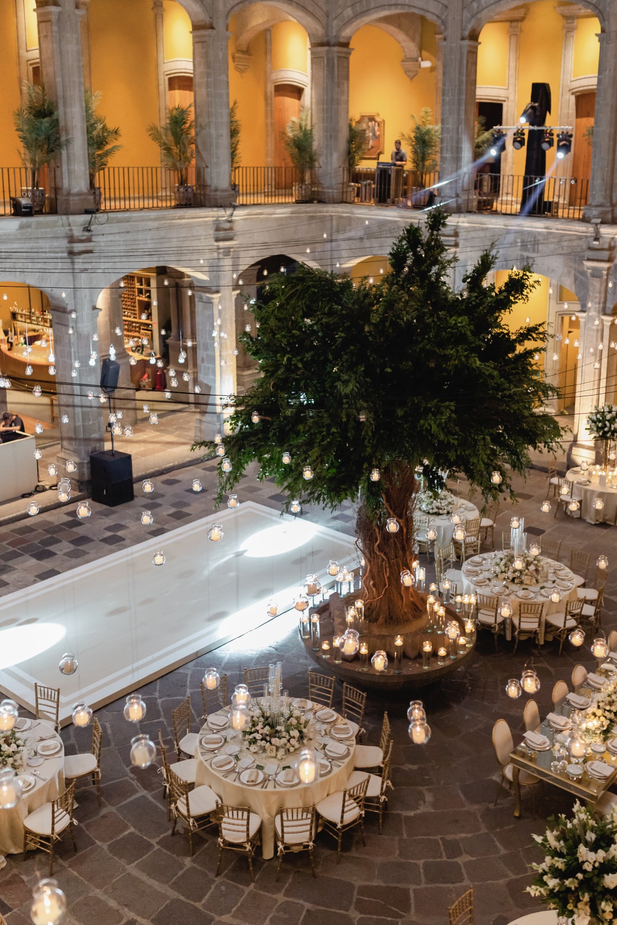 courtyard with large tree centerpiece