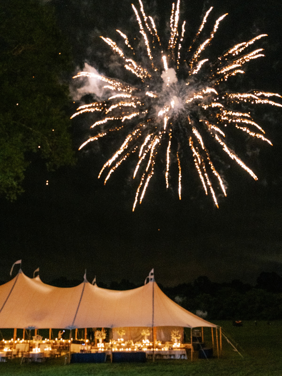 fireworks for backyard wedding