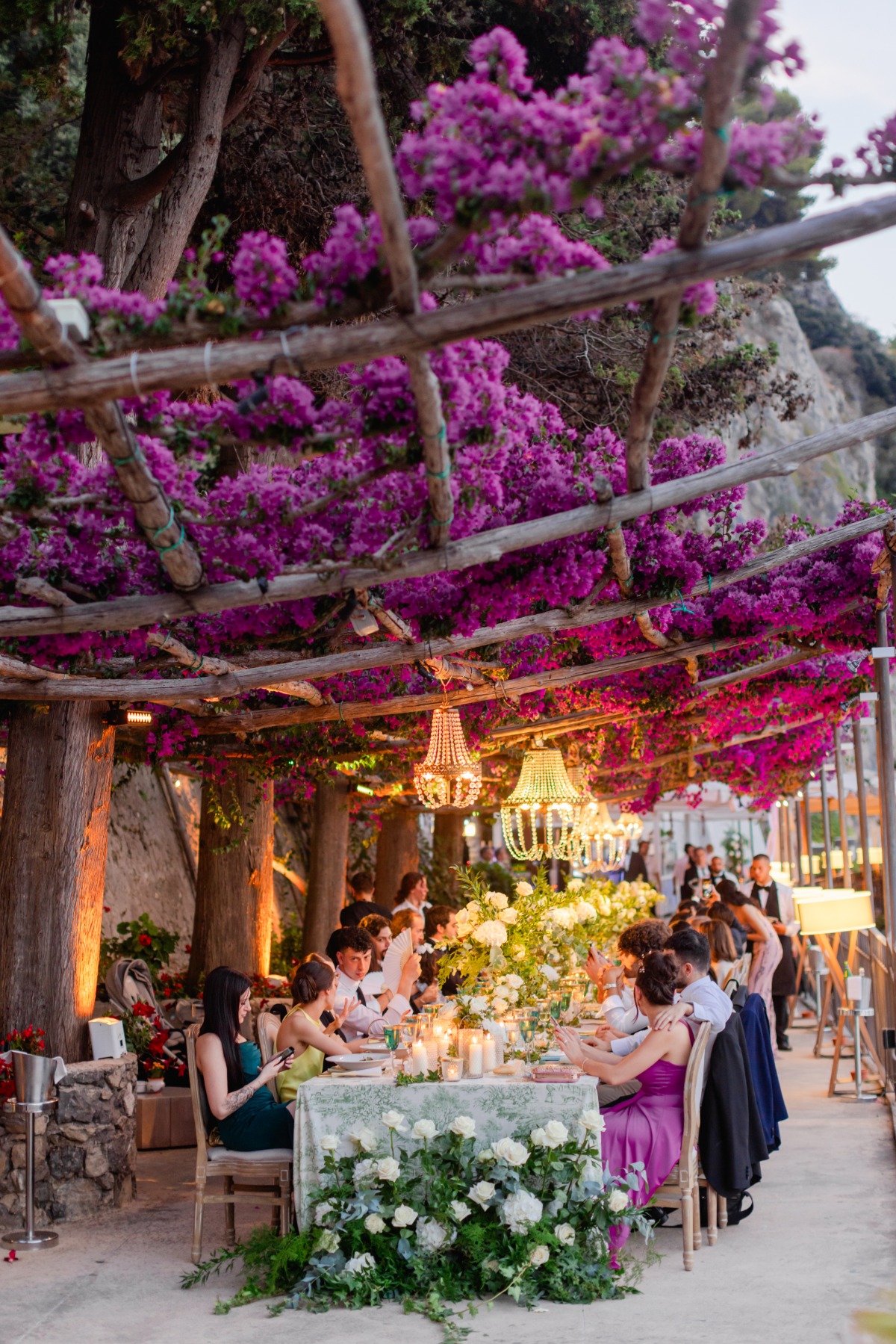 bougainvillea pergola