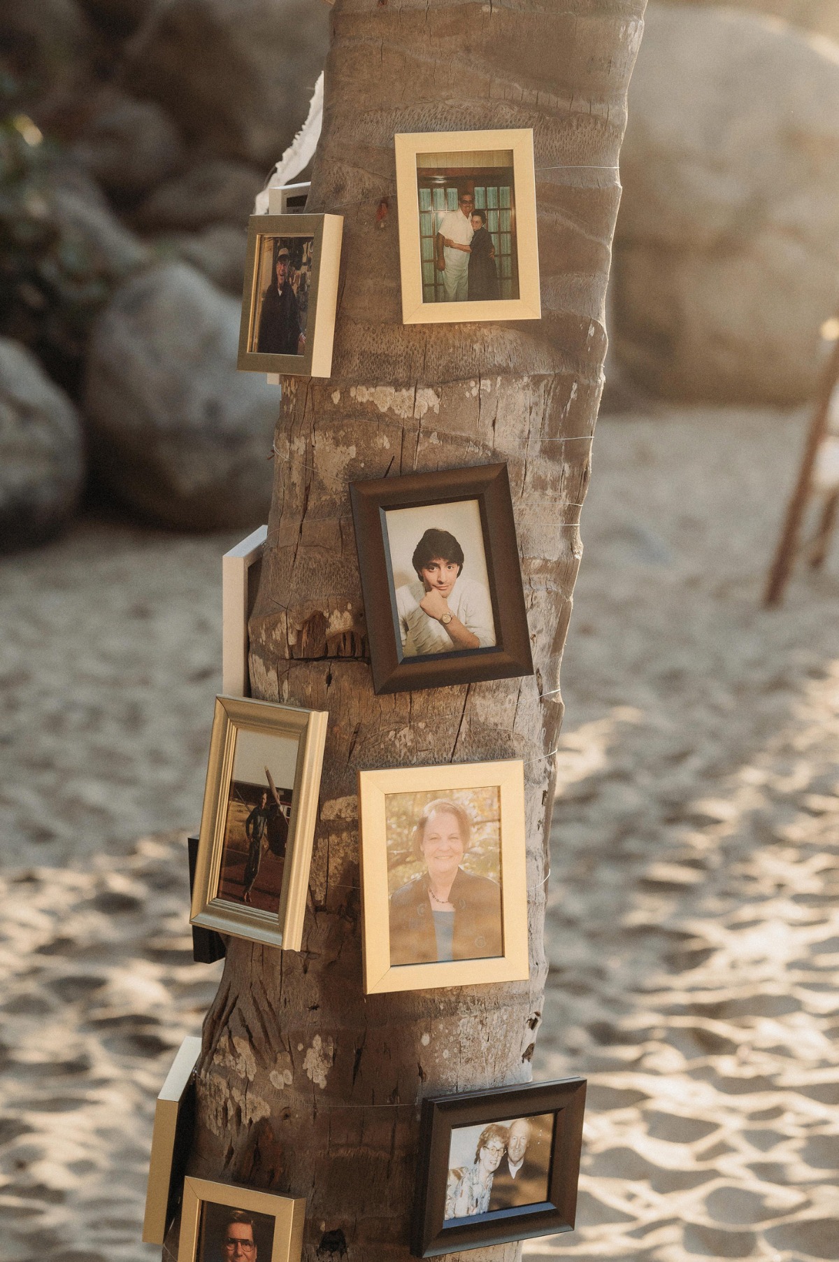 literal family tree for wedding