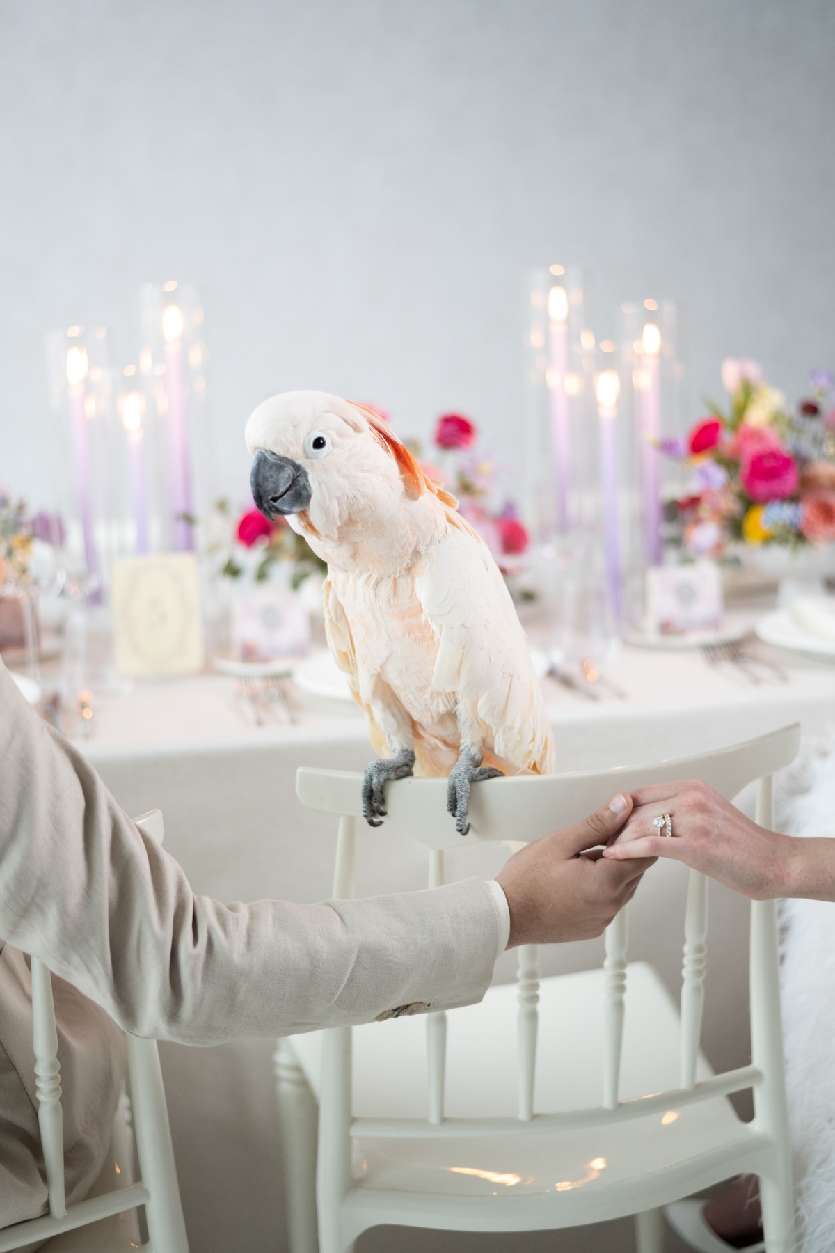 birds-of-a-feather-wedding-chicks-45