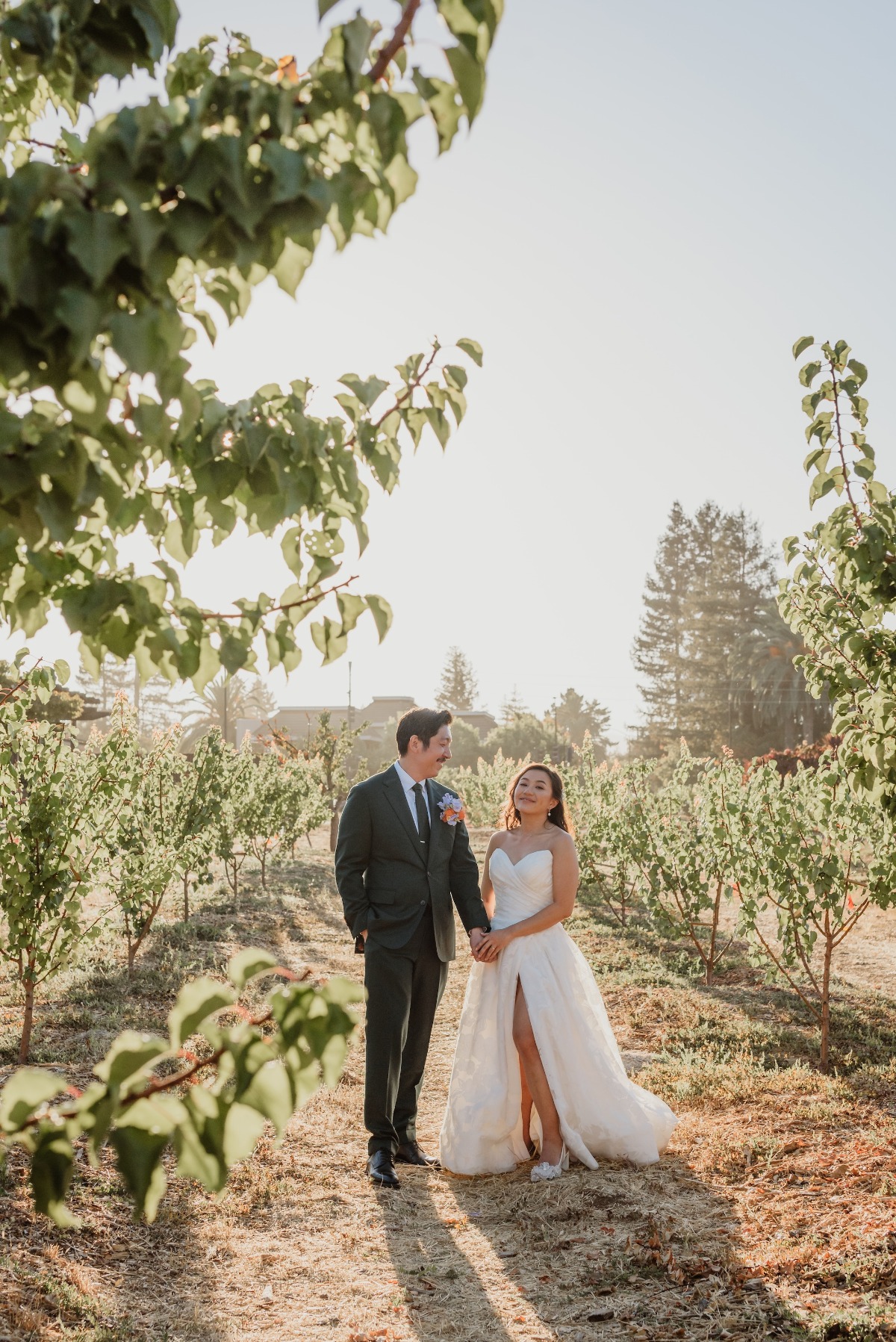 vineyard wedding inspiration