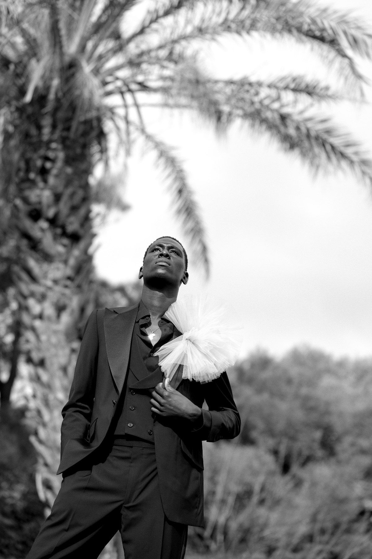 editorial_casal_santa_eulalia-169