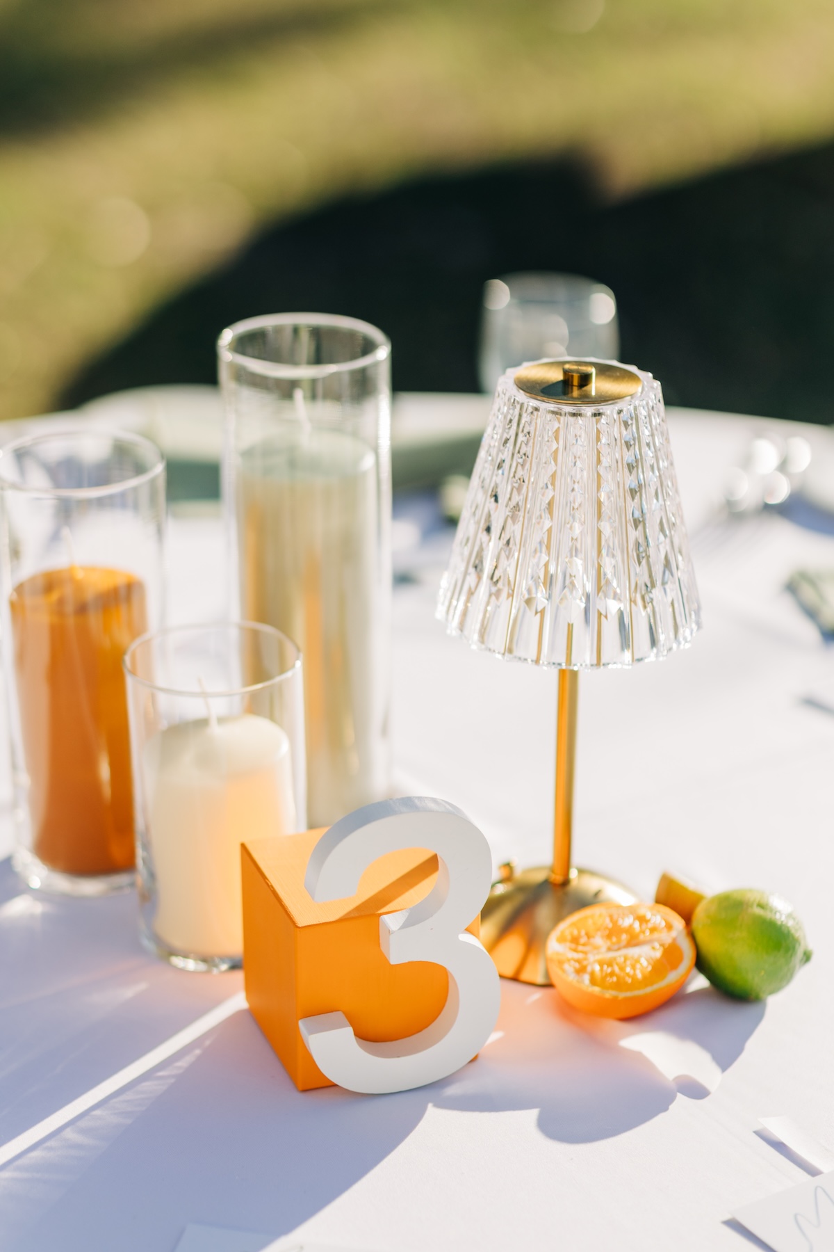 gabbyandryanthompson-wedding-2025-662