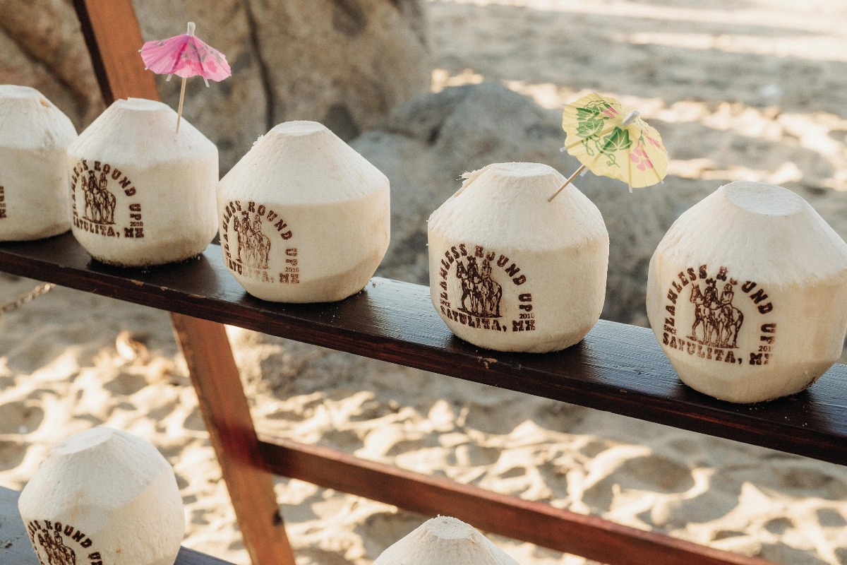 coconut escort cards