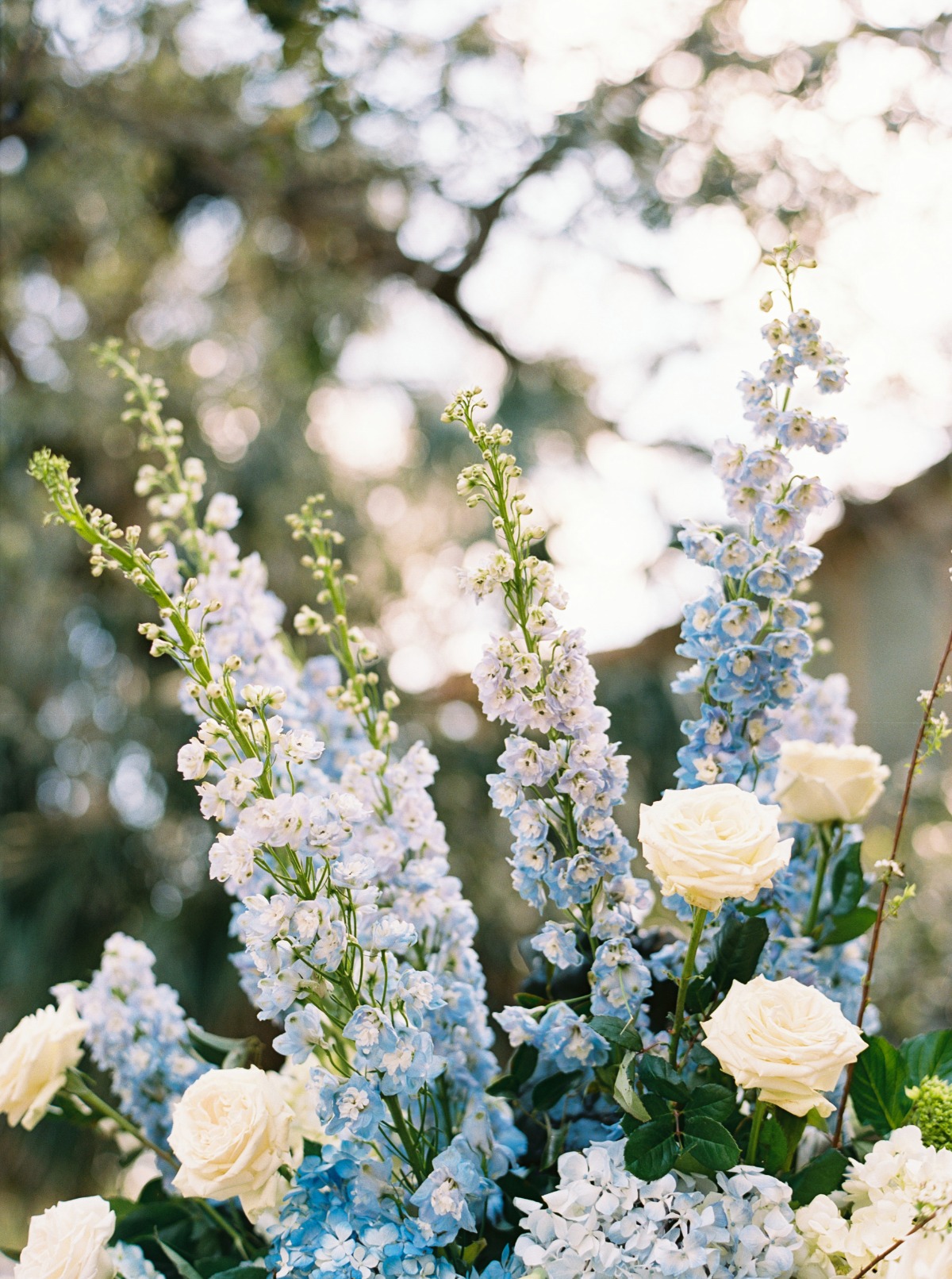 blue delphinium flower arrangements