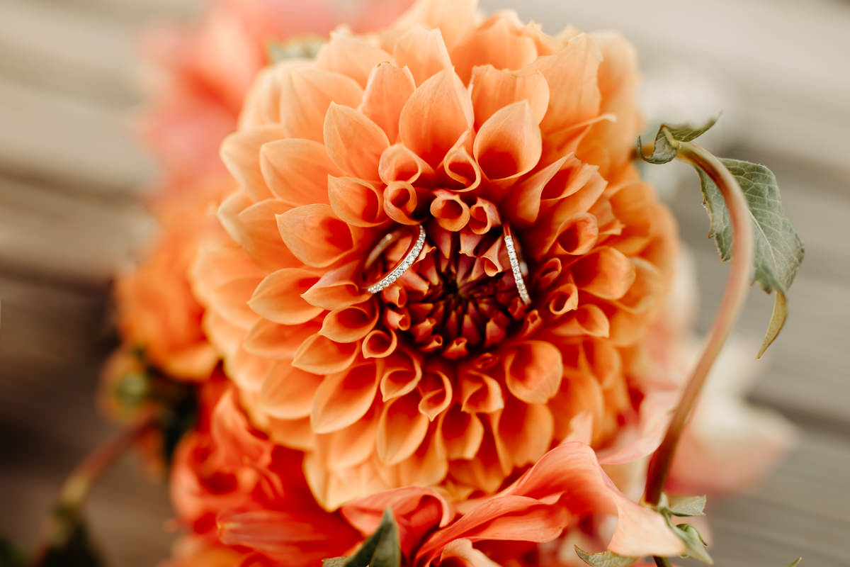 same_sex_elopement_amybluestar_22