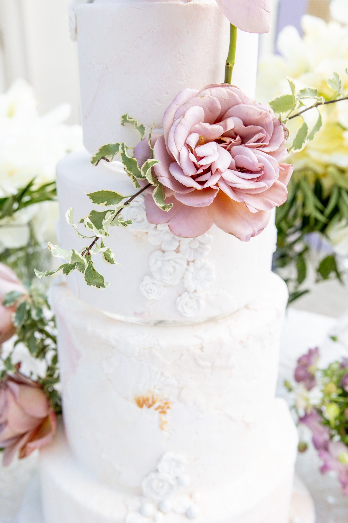ssaa-saragracephoto-52